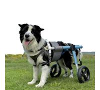 Recovery small dog wheelchair for hind legs，Puppy/Cat Mobility Aids Easy Adjustable, All-Aluminum Mobility Aid, Push-Button Fit,Lightweight Pet Cart for little dog Dogs(XXL)