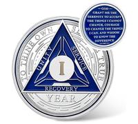 Recovery Triangle 1 Year Sobriety Coin - Silver Roman Numeral NA AA Coins - 1-40 Prime NA/HA/AA Chips and Medallions - Narcotics Alcoholics Anonymous Sober Gifts for Men Women