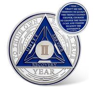 Recovery Triangle 2 Year Sobriety Coin - Silver Roman Numeral NA AA Coins - 1-40 Prime NA/HA/AA Chips and Medallions - Narcotics Alcoholics Anonymous Sober Gifts for Men Women