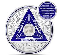 Recovery Triangle 46 Year Sobriety Coin - Silver Roman Numeral NA AA Coins - 1-65 Prime NA/HA/AA Chips and Medallions - Narcotics Alcoholics Anonymous Sober Gifts for Men Women