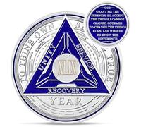 Recovery Triangle 49 Year Sobriety Coin - Silver Roman Numeral NA AA Coins - 1-65 Prime NA/HA/AA Chips and Medallions - Narcotics Alcoholics Anonymous Sober Gifts for Men Women
