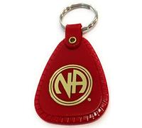 RecoveryChip NA Keytag Set 30 60 90 Day 6 9 Month 1 Year Six Keychains Narcotics Anonymous Clean Time Set
