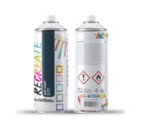 RECREATE Ash Grey Gloss Spray Paint for Wood, Metal, Plastic | Quick Drying, Smooth, Durable, Easy-to-Apply | Suitable for Indoor/Outdoor | For Furniture, Craft, Doors, Ornaments, Pots, Frames