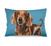 Rectangle Cushion Covers 30×50 cm,Dachshund Weiner Pet Dog Printed Super Soft Plush Sofa Cushion Cases,Cute Decorative Throw Pillow Covers for Couch Bed Bedroom Living Room Home Décor 12×20 Inch