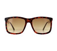 Rectangle Dark Havana Brown Gradient GF0171 Guess Brown One Size