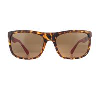 Rectangle Dark Havana Brown Polarized Sunglasses Guess Brown One Size