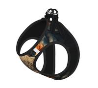 Rectangle Mandala Harness Leash Set for Cat and Dog, Reflective Vest for Small Pets Walking Escape-Proof