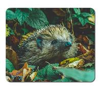 Rectangle Mouse Mat - Autumn Leaves Hedgehog Animal 23.5 x 19.6 cm (9.3 x 7.7 inches) for Computer & Laptop, Office, Non-slip Base #44180