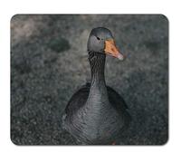 Rectangle Mouse Mat - Cute Little Duck Bird Animal 23.5 x 19.6 cm (9.3 x 7.7 inches) for Computer & Laptop, Office, Non-slip Base #44791