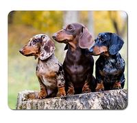 Rectangle Mouse Mat - Dachshund Trio Dogs Puppies 23.5 x 19.6 cm (9.3 x 7.7 inches) for Computer & Laptop, Office, Non-slip Base #44830