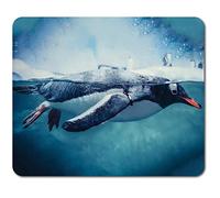 Rectangle Mouse Mat - Gentoo Penguin Swimming Underwater View 23.5 x 19.6 cm (9.3 x 7.7 inches) for Computer & Laptop, Office, Non-slip Base #45142
