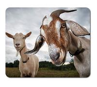 Rectangle Mouse Mat - Pair of Goats Goat 23.5 x 19.6 cm (9.3 x 7.7 inches) for Computer & Laptop, Office, Non-slip Base #45106