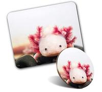 Rectangle Mouse Mat & Round Coaster Set - Axolotl Aquarium Dragon Fish 20 cm & 9 cm for Computer & Laptop, Office, Gift, Non-slip Base #3066