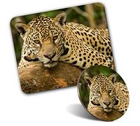Rectangle Mouse Mat & Round Coaster Set - Jaguar Brazil Jungle Big Cat Wild 20 cm & 9 cm for Computer & Laptop, Office, Gift, Non-slip Base #45427