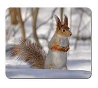 Rectangle Mouse Mat - Winter Forest Squirrel Nature Wildlife 23.5 x 19.6 cm (9.3 x 7.7 inches) for Computer & Laptop, Office, Non-slip Base #46451