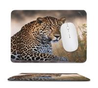 Rectangle Mouse Pads African Animal Leopard Mouse Pad for Computers Laptop Desk Washable Mousepad Non-Slip Mouse Mat with Rubber Base Laptop Mousepads Overlock 9.4"x7.9"