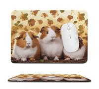 Rectangle Mouse Pads GuineaPigs Mouse Pad for Computers Laptop Desk Washable Mousepad Non-Slip Mouse Mat with Rubber Base Laptop Mousepads Overlock 11.8"x9.8"