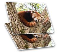 Rectangle Stickers (Set of 2) 10cm - Beautiful Lesser Red Panda Fun Decals for Laptops,Tablets,Luggage,Scrap Booking,Fridges, #14217