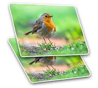 Rectangle Stickers (Set of 2) 10cm - Garden Robin Bird Birds Christmas Fun Decals for Laptops,Tablets,Luggage,Scrap Booking,Fridges, #15509