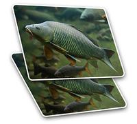 Rectangle Stickers(Set of 2) 7.5cm - Wild Common Carp Fish Fishing Fun Decals for Laptops,Tablets,Luggage,Scrap Booking,Fridges, #15753