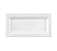 Rectangular Bagasse Plate 10.2inch / 26cm - Case of 500 - Sugarcane Disposable Plates
