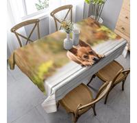 Rectangular Tablecloth Cute Dog Extra Large Table Cloth Cover 140x240 cm Animal Puppy Wipe Clean Polyester Fabric, 3D Table Protector for Kitchen Dining Party 55x94 in a/4237