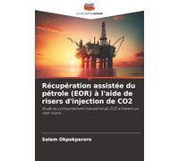 Récupération assistée du pétrole (EOR) à l'aide de risers d'injection de CO2: Étude du comportement transitoire du CO2 à travers un riser marin