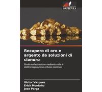Recupero di oro e argento da soluzioni di cianuro: Studio sull'estrazione mediante cella di elettrocoagulazione a flusso continuo