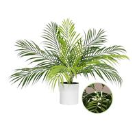 RECUTMS Fake Plants Tall 19In Artificial Tropical Palm Tree Potted with Light Faux Monstera Greenery Plants in White Pot for Indoor Outdoor Home Office Living Room Bedroom Desk Balcony Farmhouse Decor