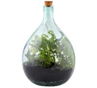 Recycled Glass Belly Bottle Terrarium Set with Cork Lid, Stainless Steel Telescopic Tools, Closed Ecosystem, 5L & 15L (Large 15L)