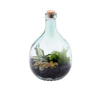 Recycled Glass Belly Bottle Terrarium Set with Cork Lid, Stainless Steel Telescopic Tools, Closed Ecosystem, 5L & 15L (Small 5L)