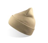Recycled polyester beanie Atlantis Headwear Wind S Beige TU