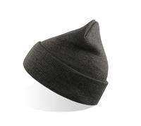 Recycled polyester beanie Atlantis Headwear Wind S Gris TU