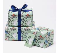 Recycled Wrapping Paper & Tags - Green Hedgerow Birds - Pack of 4