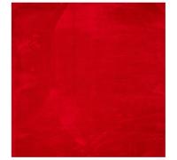 (red, 240 x 240 cm) vidaXL Rug Short Pile Soft and Washable Floor Mat Area Rug Bedroom Carpet