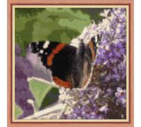 Red Admiral Butterfly, Square Design 8" x 8" - 14 Count Cross Stitch Kit