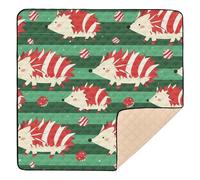 Red and Green Striped Playful Hedgehog Christmas Large Stylish Baby Activity Play Mat for Indoor Outdoor Water Resistant Foldable Infant Play Mat for Baby Toddler Infant, 50'' x 50''
