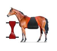 Red and Infrared Light Therapy Device for Horses, Pain Relief and Injury Recovery for Back and Abdomen, Fracture Healing, Effective Equine Therapy Equipment