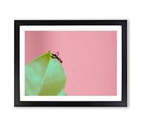 Red Ant Modern Art Framed Print | A2 Black Framed Wall Art | Ready to Hang | Modern Nature Picture | Living Room Bedroom Lounge Office