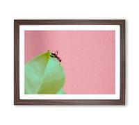 Red Ant Modern Art Framed Wall Art Print, Ready to Hang Picture for Living Room Bedroom Home Office Décor, Walnut A2 (64 x 46 cm)