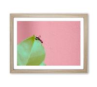 Red Ant Modern Art Framed Wall Art Print, Ready to Hang Picture for Living Room Bedroom Home Office Décor, Oak A4 (34 x 25 cm)