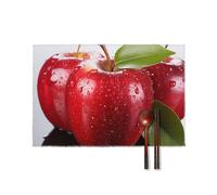 Red Apple Fruit Placemats Set of 6 Heat Resistant Place Mat Anti Slip Reversible Table Mats Washable Table Mats Non-Slip Stain Table Placemats for Kitchen Dining Party