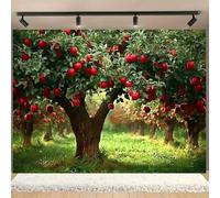 Red Apple Tree Orchard Backdrop, Green Grass Fruit Farm Pastoral Scenery Photography Background Cloth, Rustic Nature Prop for Newborn Family Portrait Cake Smash Harvest Party(B, 7x5ft)
