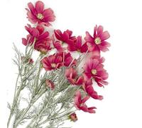 Red Artificial Flowers Calliopsis Silk Flower Arrangements, 4 Pcs Long Stem Cosmos Plastic Flowers for Vase, 23.6 Inch Wildflowers Artificial Flowers Bulk for Decor, Wedding Centerpieces, Garden
