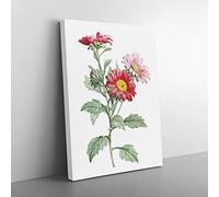 Red Aster Flowers By Pierre Joseph Redoute Vintage Canvas Wall Art Print Ready to Hang, Framed Picture for Living Room Bedroom Home Office Décor, 50x35 cm (20x14 Inch)