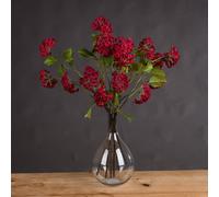 Red Autumnal Viburnum