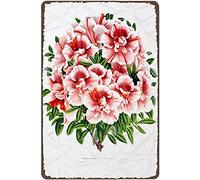 Red Azalea Botanical Flower Large Drawing Chic Vintage Style Metal Tin Sign Home,Living Room,Kitchen,Dining Room,Bedroom,Farmhouse,Wall Decoration 8" x12"
