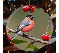 Red-Bellied Gray Finch with Cherry Ceramic Christmas Ornaments - 4 Pcs Rustic Round Xma Tree Decor with Hanging String, Personalized Vintage Double-Sided Holiday Party Decorations for Xmas Gifts