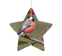 Red-bellied Gray Finch with Cherry Ceramic Christmas Star Ornaments - 2.7 Inch Rustic Star Xmas Tree Decor with Hanging String, Personalized Vintage Double-Sided Holiday Party Decorations for Xmas Gif