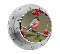 Red-bellied Gray Finch with Cherry Kitchen Timer - Mechanical Visual Timer, Stainless Steel Digital Timers with Magnetic Base Egg Timers for Hard Boiled Eggs 60-Minute Countdown Kitchen Clock for Cook